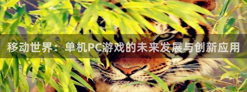 星欧娱乐登录：移动世界：单机PC游戏的未来发展与创新应用