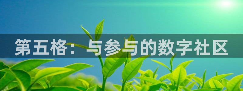 手机星欧娱乐下载安装：第五格：与参与的数字社区