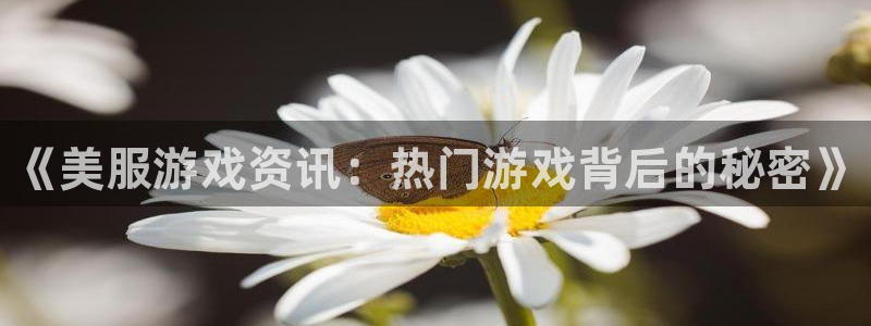 星欧娱乐咨询：《美服游戏资讯：热门游戏背后的秘密》