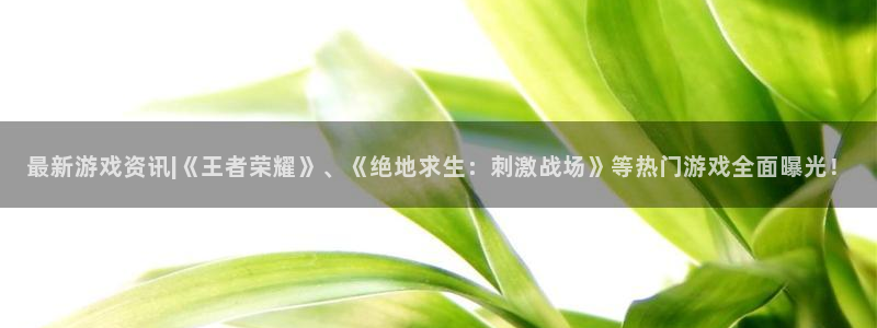 星欧娱乐网页登录入口下载：最新游戏资讯|《王者荣耀》、《绝地