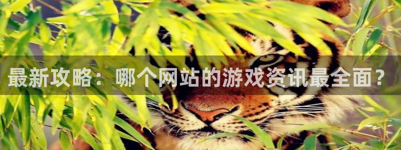星欧娱乐手机网页版登录：最新攻略：哪个网站的游戏资讯最全面？