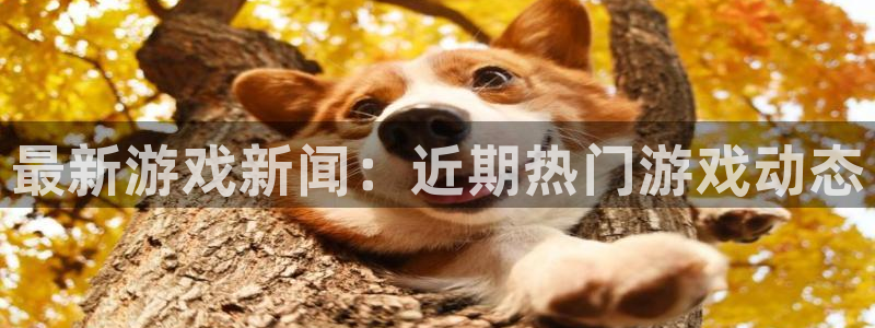 星欧娱乐4主管：最新游戏新闻：近期热门游戏动态