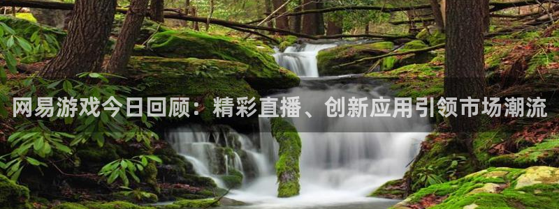 星欧娱乐2登录：网易游戏今日回顾：精彩直播、创新应用引领市场